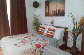 Spacious Furnished Studio Condo-Wifi-Netflix-free movies